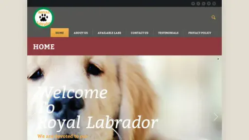Screenshot of