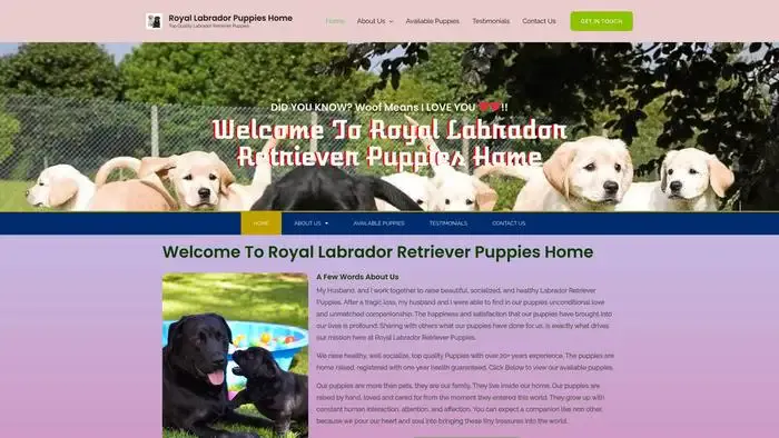 Screenshot of