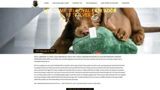 Screenshot of