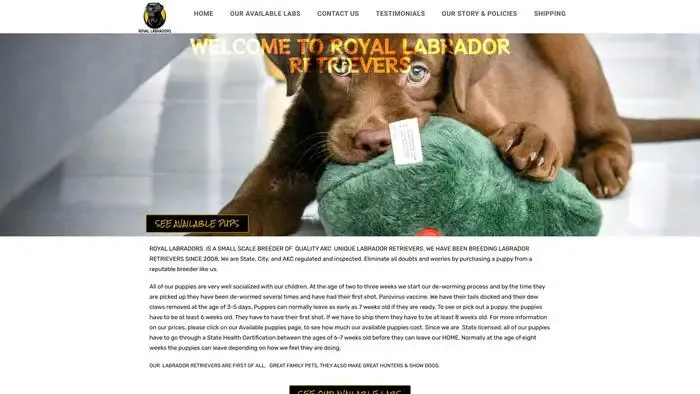 Screenshot of