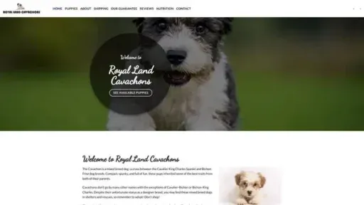 Screenshot of