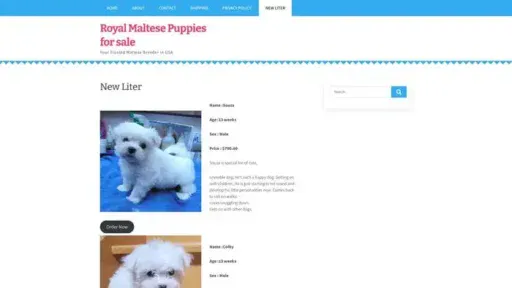 Screenshot of