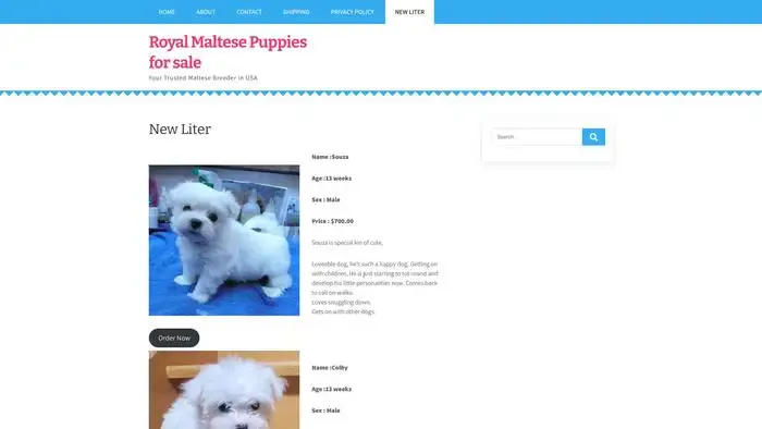 Screenshot of