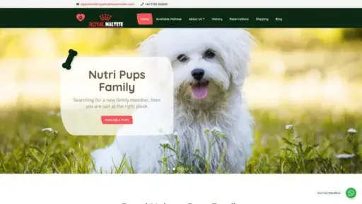 Screenshot of