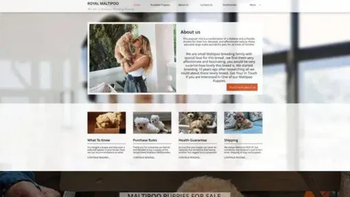 Screenshot of