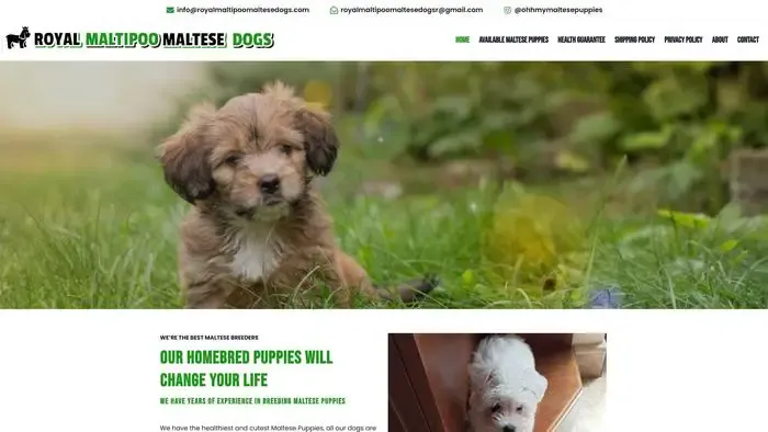 Screenshot of