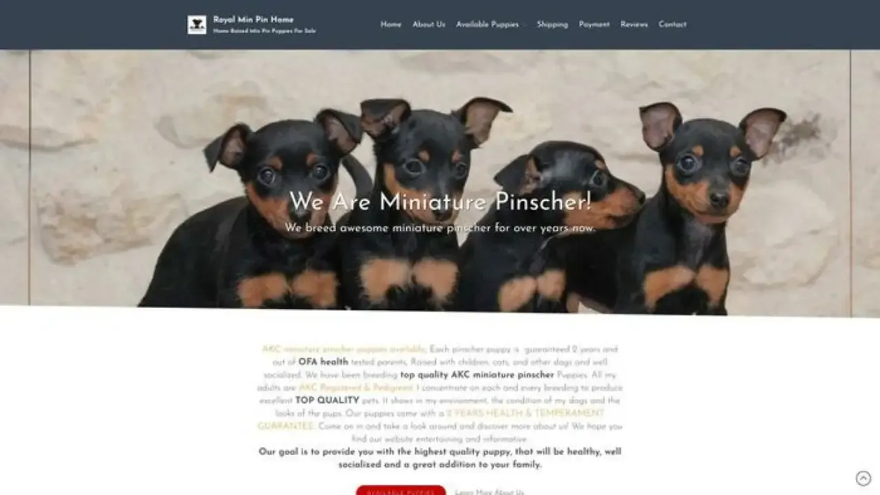 Screenshot of||