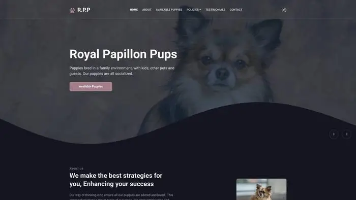 Screenshot of