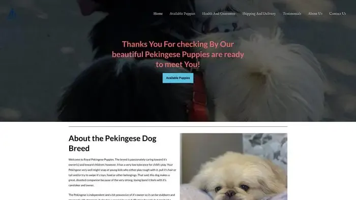 Screenshot of