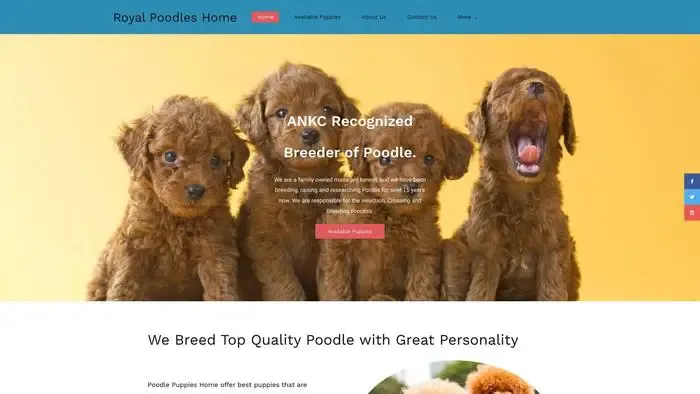 Screenshot of