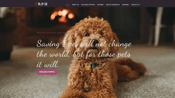 Screenshot of