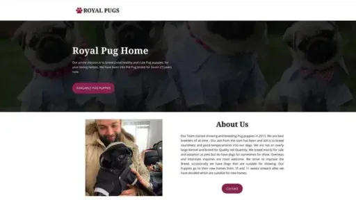 Screenshot of