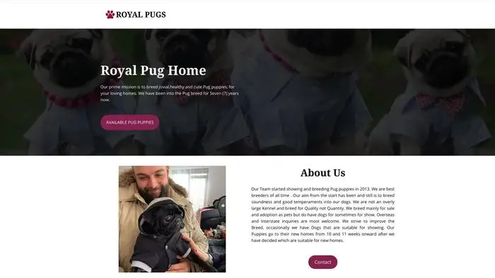 Screenshot of