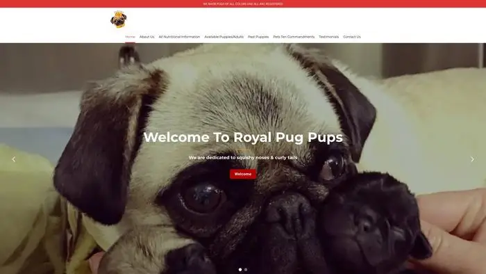 Screenshot of