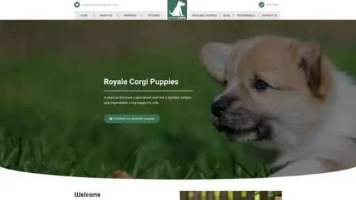 Screenshot of