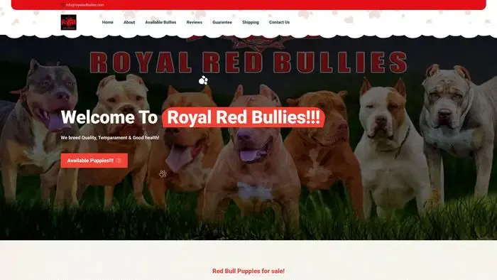 Screenshot of