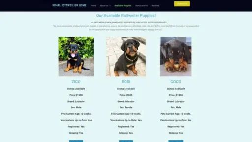 Screenshot of