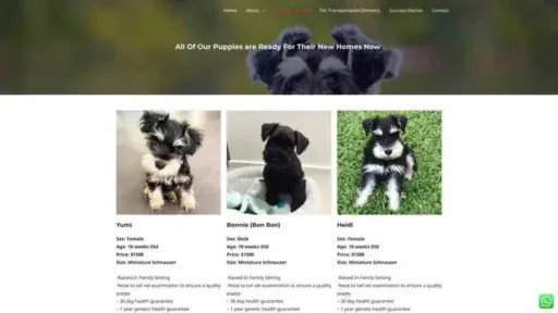 Screenshot of