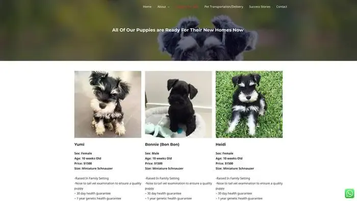 Screenshot of