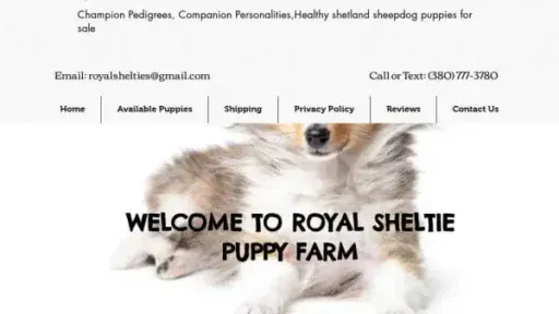 Screenshot of