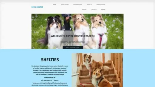 Screenshot of