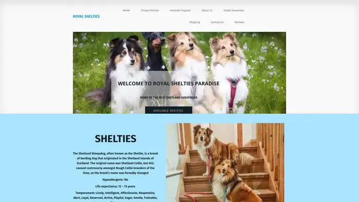 Screenshot of
