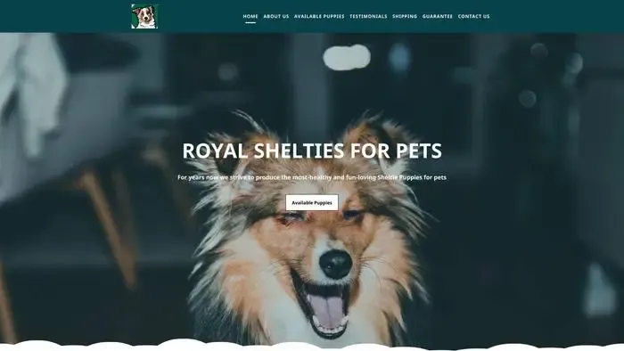 Screenshot of