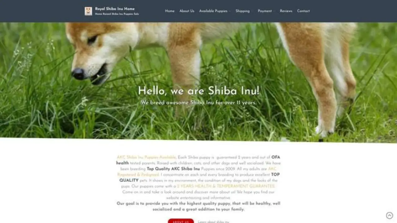 Screenshot of||