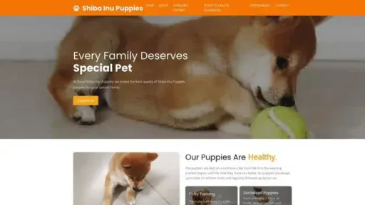 Screenshot of