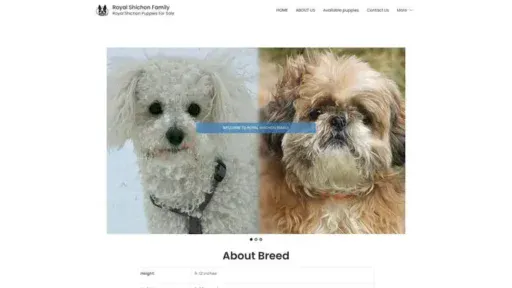 Screenshot of
