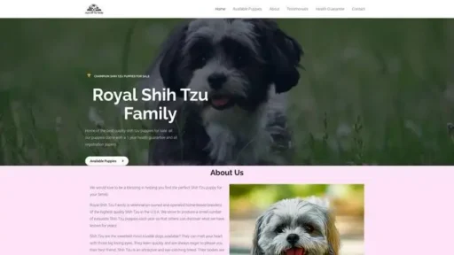 Screenshot of