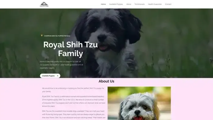 Screenshot of
