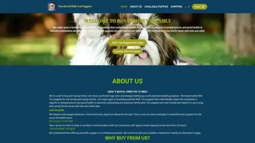 Screenshot of