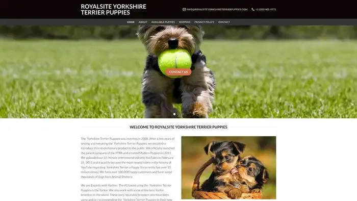 Screenshot of