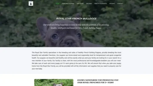 Screenshot of