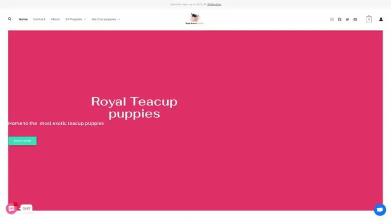 Royalsteascuppuppies