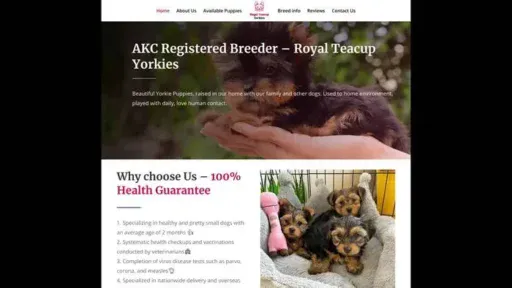 Screenshot of