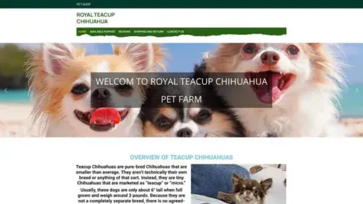 Screenshot of