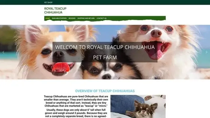 Screenshot of