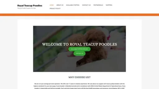 Screenshot of
