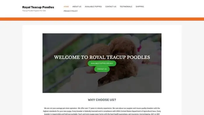 Screenshot of