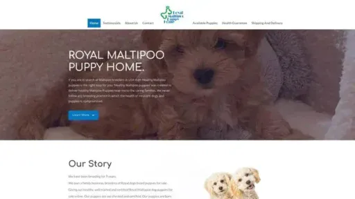 Screenshot of