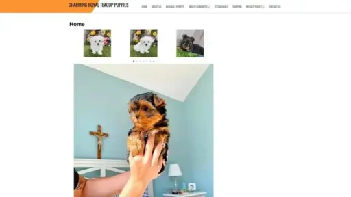 Screenshot of