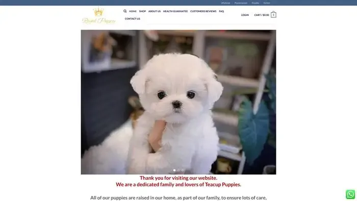 Screenshot of