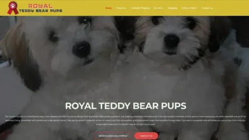 Screenshot of