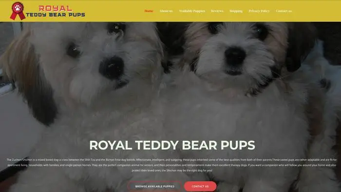 Screenshot of