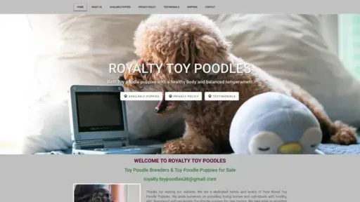 Screenshot of