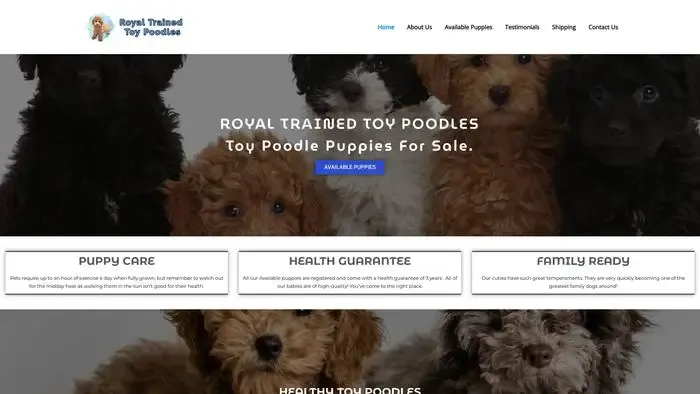 Screenshot of