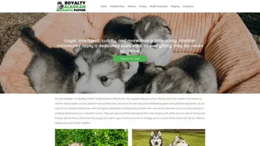 Screenshot of