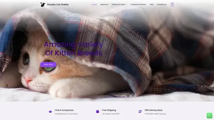 Screenshot of